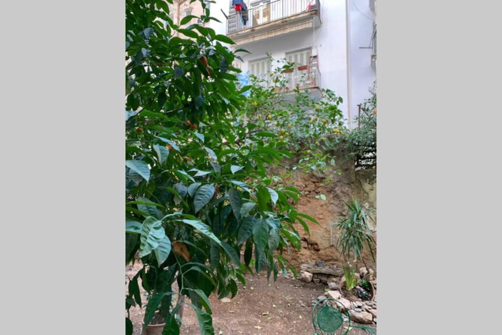 Quiet And Central Flat With Private Backyard Garden Athene Buitenkant foto