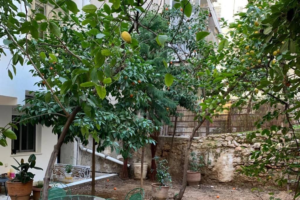 Quiet And Central Flat With Private Backyard Garden Athene Buitenkant foto